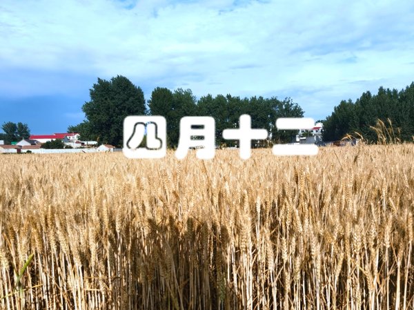 星空体育官方登录开锅后就要撒一丝冷水持续煮-星空app官网版下载v.9.55.87-星空app