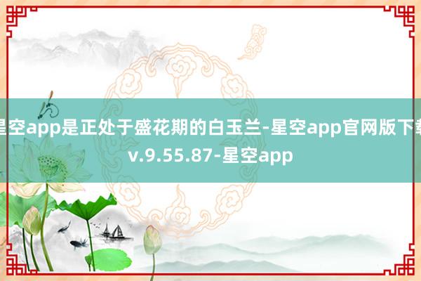 星空app是正处于盛花期的白玉兰-星空app官网版下载v.9.55.87-星空app