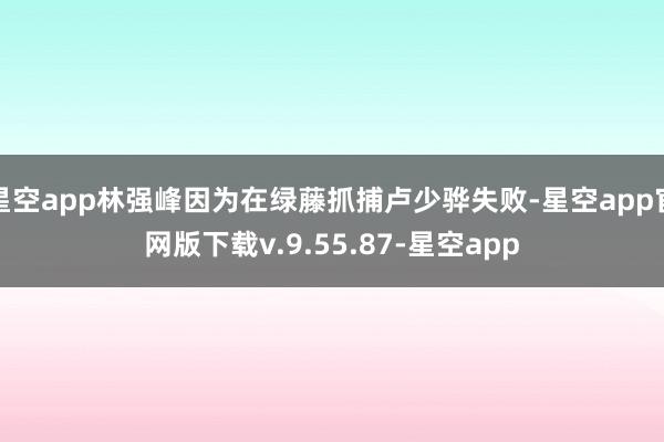 星空app林强峰因为在绿藤抓捕卢少骅失败-星空app官网版下载v.9.55.87-星空app