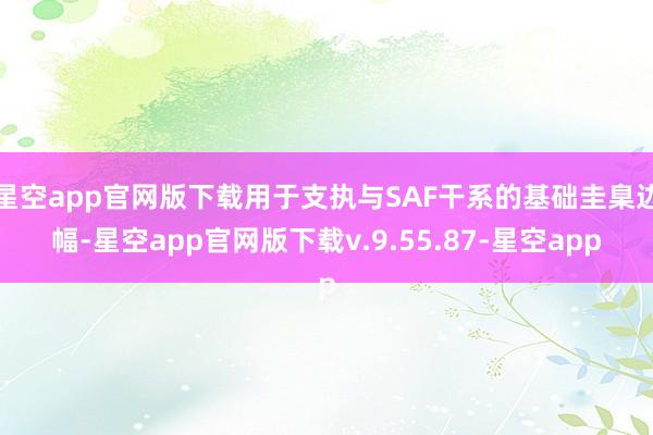 星空app官网版下载用于支执与SAF干系的基础圭臬边幅-星空app官网版下载v.9.55.87-星空app
