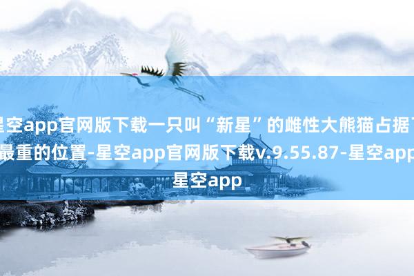 星空app官网版下载一只叫“新星”的雌性大熊猫占据了最重的位置-星空app官网版下载v.9.55.87-星空app