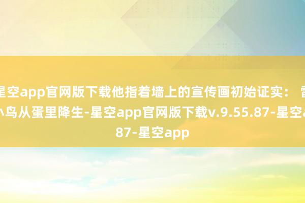 星空app官网版下载他指着墙上的宣传画初始证实： 雷同小鸟从蛋里降生-星空app官网版下载v.9.55.87-星空app